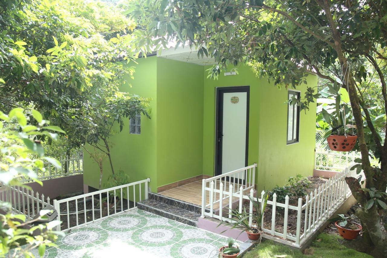 Windy Hill Catba Homestay Hai Phong Exterior foto